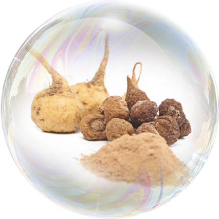 Maca Peruana