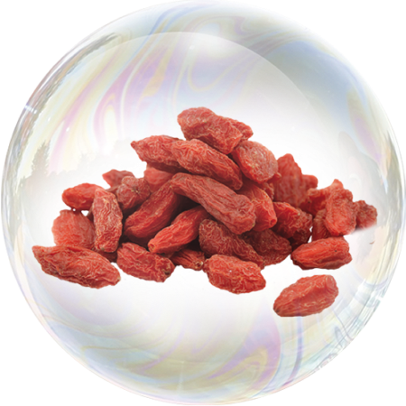 Bayas de Goji