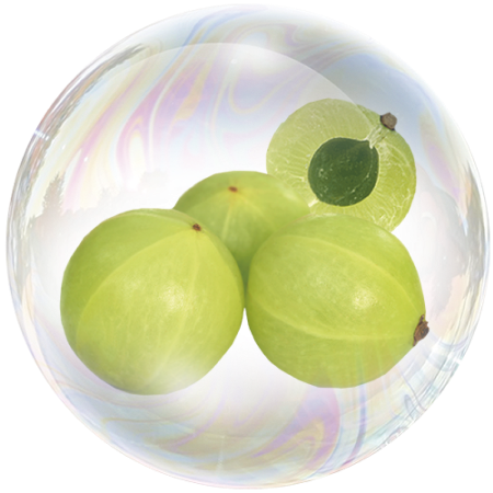 Grosella India (Amla india)
