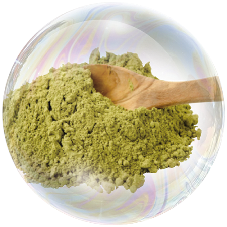 Hemp Seeds