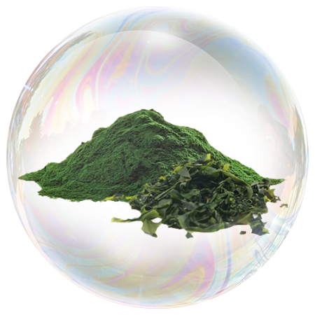Spirulina 